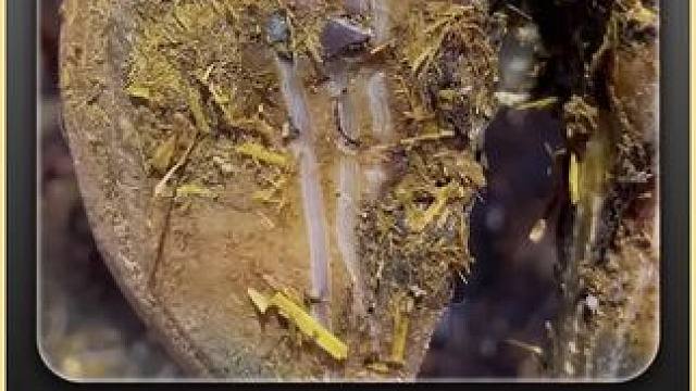 又到了一日一刷的时刻