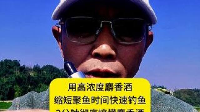用高浓度麝香酒缩短聚鱼时间快速钓鱼，3分钟彻底搞懂麝香酒！ 用高浓度麝香酒缩短聚鱼时间快速钓鱼3分钟