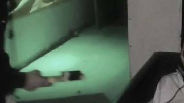 《别动npc！！》