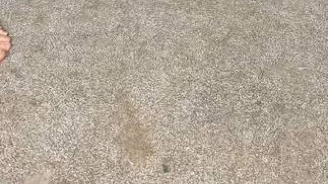 我简直不敢相信我浪费了多少钱