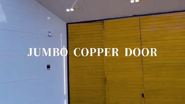 叠页鎏光，轻隔院中风与月#中宝天一铜门 #别墅门 #铜门 #上海