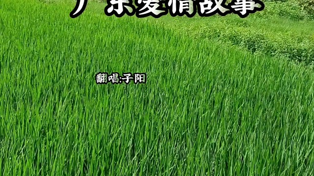 我肥来了！这首歌送给压不住枪的怼友