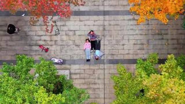 邻水这个小区的风景应该排第一吧？要是有个小姐姐躺地上会不会更好看一点呢