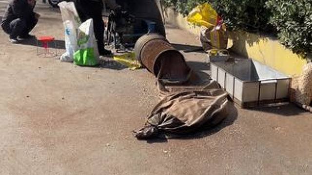 一个普通的下午，为多年后的一个恍惚埋下伏笔