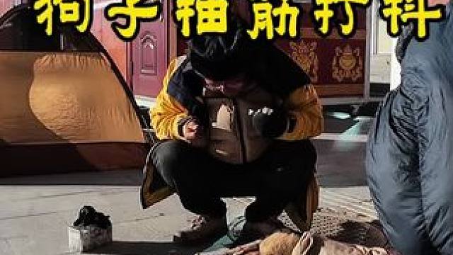 冬季骑行西藏阿里，在革吉县城给小狗买了药物，希望可以好起来