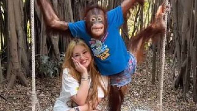 泰国网红猩猩与游客合影