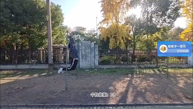 心血来潮第一天