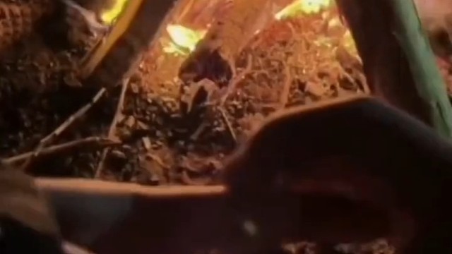 你会不会忽然的出现