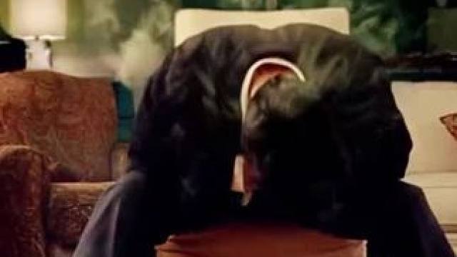 来自尼古丁的救赎！