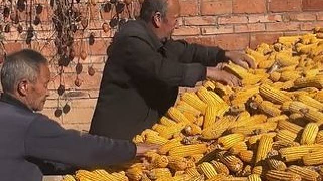 村里的风景，虽平淡，但耐看。也许生活并不便利，却最温暖的治愈。长大后才明白，平凡无奇的小村里藏着最惬