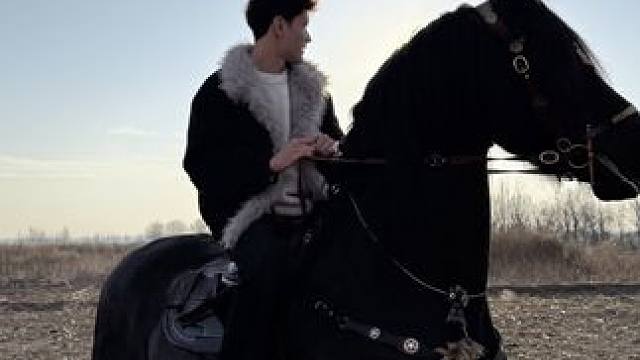 今天来个不一样的#马#爱马如命 #阿拉伯马