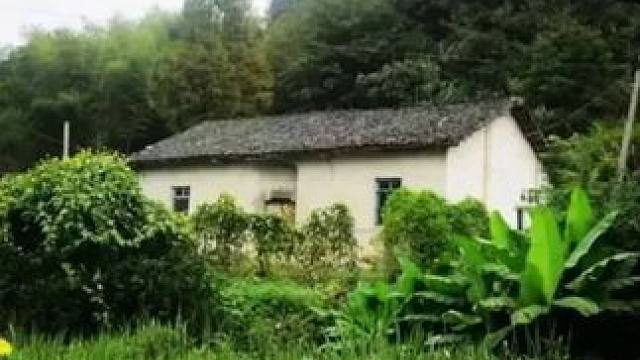 云南有这种偏僻的老房可以私信我，要能通水电。 