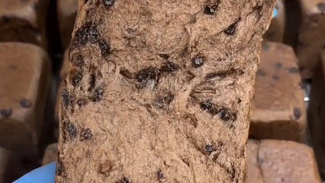 巧克力吐司面包