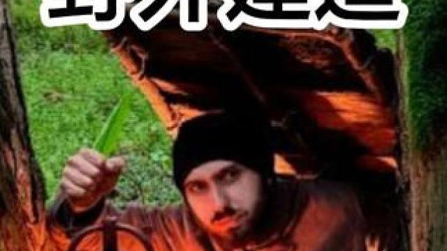 在两个树桩之间建造一个温暖隐蔽的地窝，野外生存。#野外生存 #野外建造庇护所 #启发搜索激励计划 #