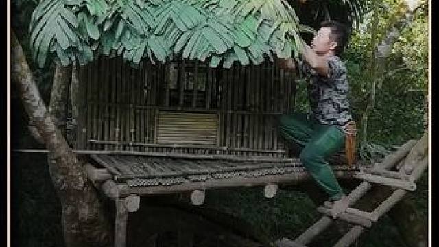 野外建造果然还得这样玩 #野外建造 #树屋庇护所 #放心借 #放心借福利