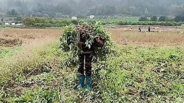 山卡卡里的农村大姐一部手机直播30天变现2000+新人首播一个小工具直接拿去用轻松开播#宝妈创业#新