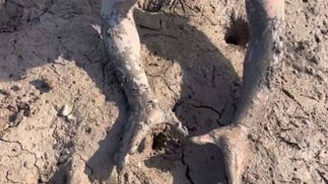 发现四五个比拳头还大的洞，跟着扣进去，没想到上货居然有一斤多！#户外 #我的乡村生活