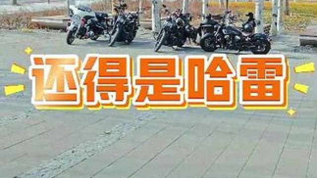 这温度的天儿 到底都是谁还在骑车啊？#哈雷 #摩托车 #机车
