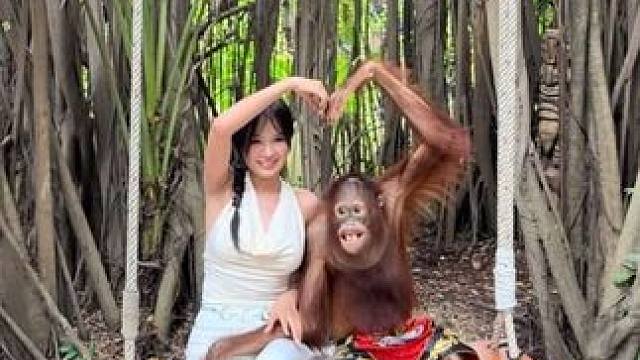 泰国网红猩猩与游客合影