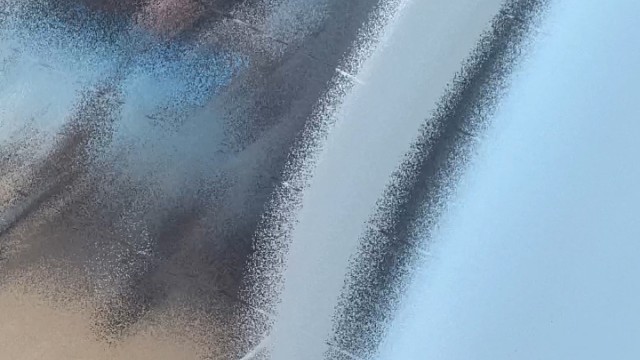 坎坎坷坷谁陪谁真真假假谁信谁。