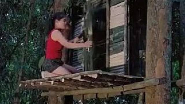 #上热门 树上建造庇护所 #我的农村生活 #丛林 #旅行 #运动