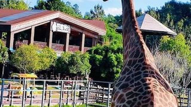 原来1000，现在四百多直接住两晚，还可以拆分使用！这一波羊毛不薅！错过直接拍大腿