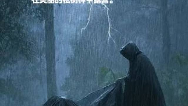在暴雨和雷暴中独自露营，惊险刺激⛈️ 在美丽的松树林中露营。 #雨中露营 #户外露营 #启发搜索激励