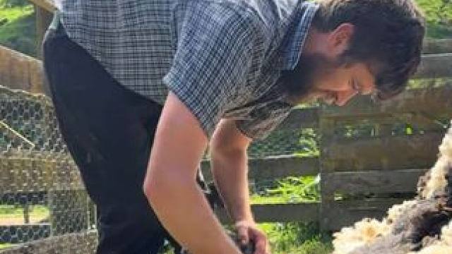 这下凉快多了 #抖音看世界 #神奇动物在抖音 #国外视频分享 #奇妙的动物 #剪羊毛