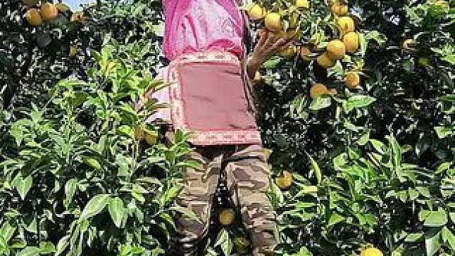 山卡卡里的农村大姐一部手机直播30天变现2000+新人首播一个小工具直接拿去用轻松开播#宝妈创业#新