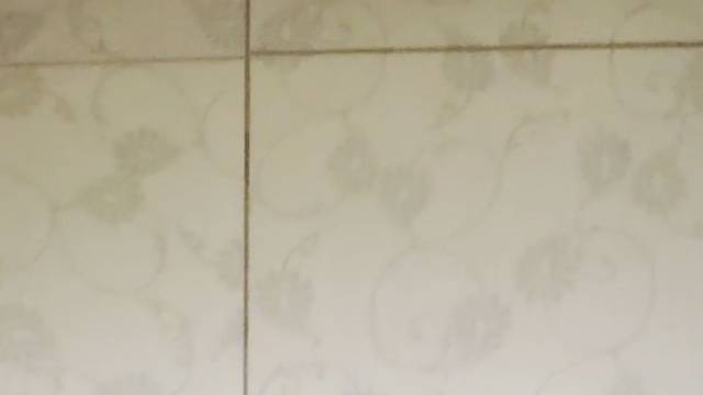 减肥打卡第一天