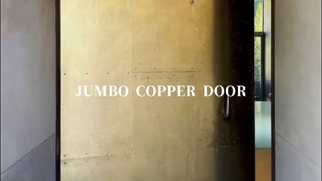 金棕纹间，铆钉缀出生活质感#中宝天一铜门 #别墅门 #铜门 #上海