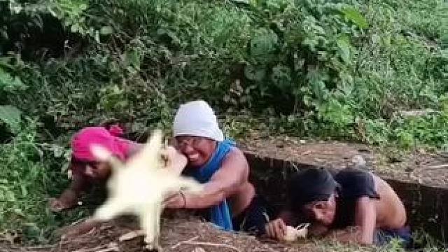 太搞笑了吧#搞笑