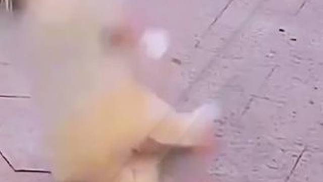 一名女性怀抱着幼儿不慎跌倒，身体剧烈颤动，心脏骤然停止跳动。周围的行人见状，纷纷驻足，一位热心市民毅