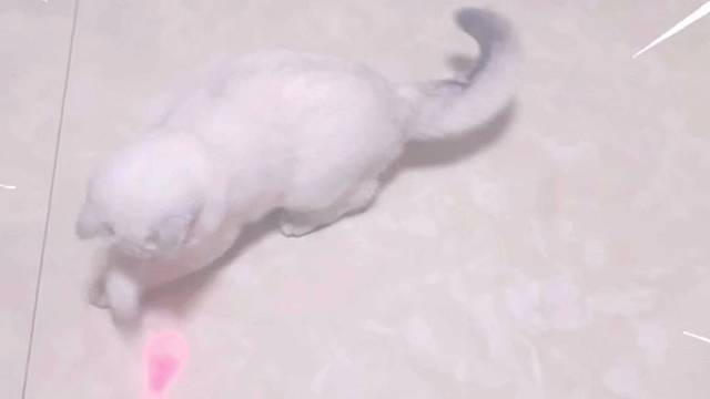 不让抱 就转晕她 拿下 嘻嘻