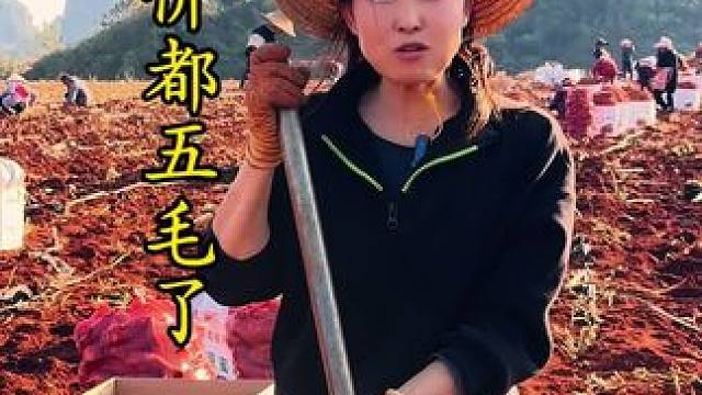 种薯人真的很无耐 