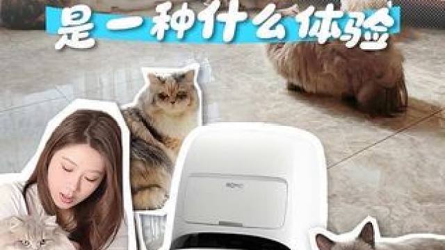 同时和10只猫待一天是种什么体验 还好我有大疆 ROMO S大疆扫地机器人