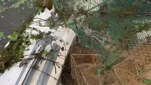 #户外捕鱼大队 #捕鱼河边随拍 #捕捞现场  #丝网捕鱼