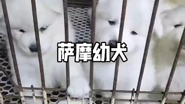 爱我就关注我吧
