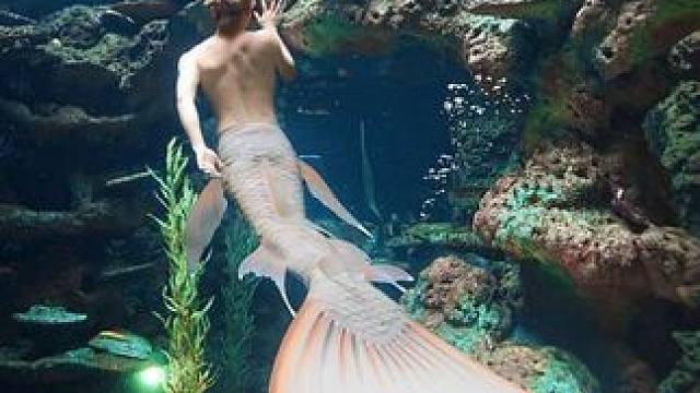 @王子（上海海昌美男鱼） #长鹿潜水 #长鹿美人鱼 
水摄后期