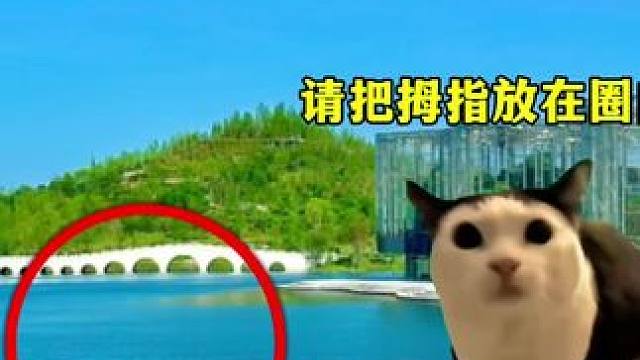 小猫治愈时间