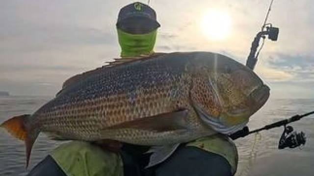 小伙海钓大鱼 #抖音看世界 #神奇动物在抖音 #国外视频分享 #好大一条鱼 #钓鱼的乐趣只有钓鱼人懂