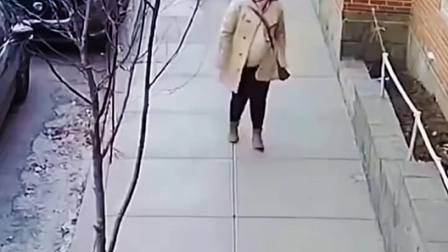 动物都有灵性，能感知有小生命[赞]