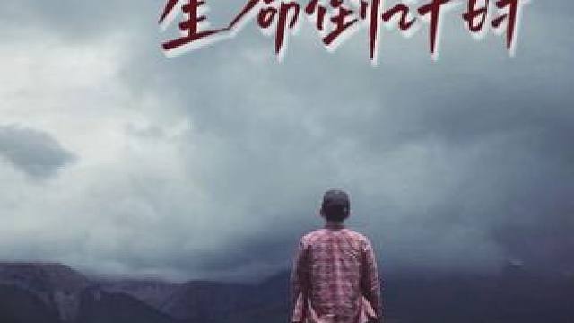 《我陪绝症狗狗生命倒计时》vol.1 