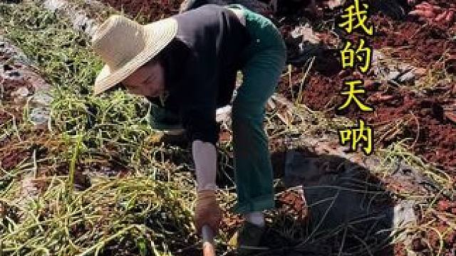 发现啥宝贝了 明天下午两点二十分锁定直播间#不见不散 #猜猜看