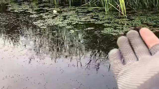 #户外捕鱼大队 #捕鱼河边随拍 #捕捞现场  #丝网捕鱼