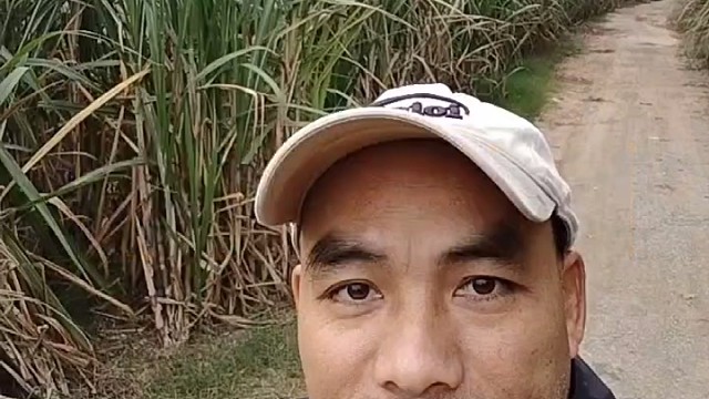 这事我真搞不懂！