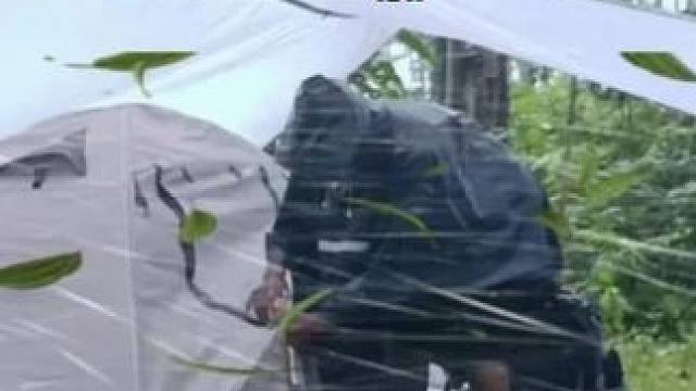 暴雨恶劣天气下的经历‼️暴雨中露营⛈️ #雨中露营 #户外帐篷露营 #启发搜索激励计划 #解压助眠视