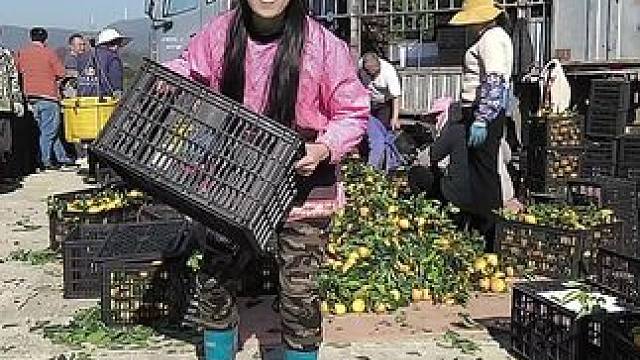 我发布了一个新视频，快来围观吧！