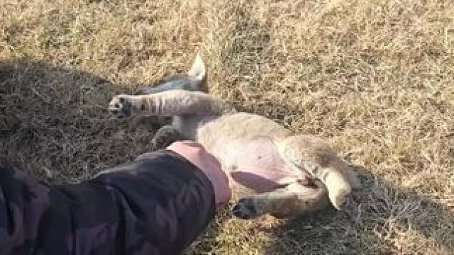 我发布了一个新视频，快来围观吧！