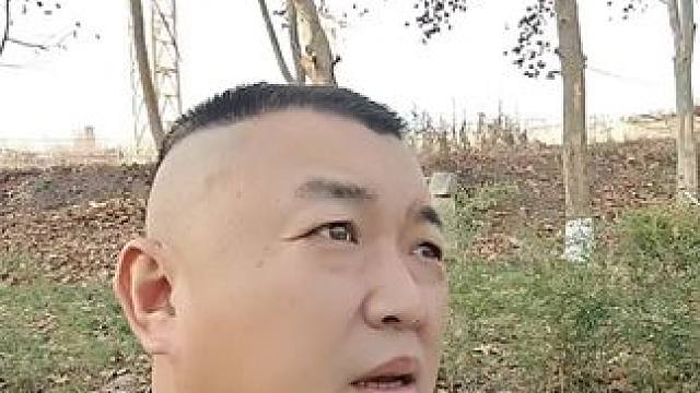 青春一去不复返 #小树林 #谢谢粉丝们